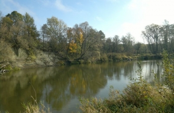 2012-10-20-2361