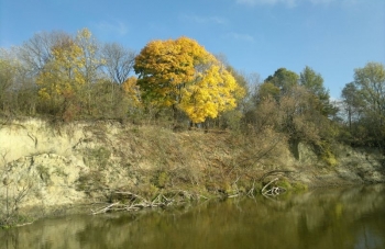2012-10-20-2365