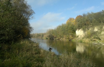2012-10-20-2366