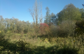 2012-10-20-2381